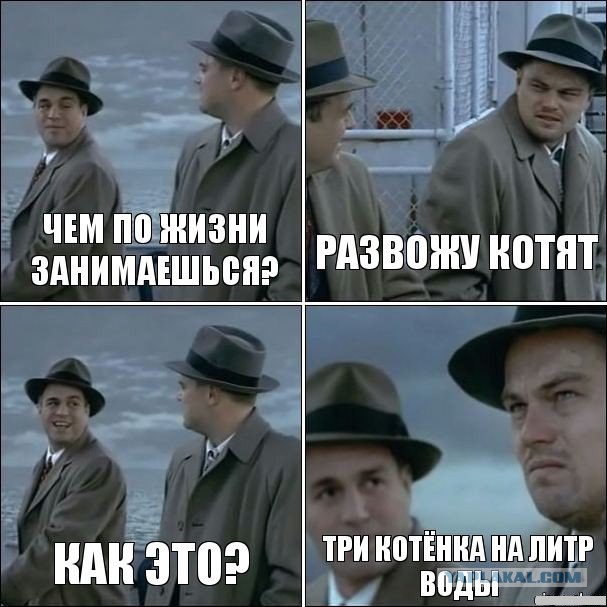 Юмор не для всех