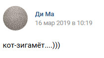 Что рассказывает виновница наезда на кота Шурика в Симферополе