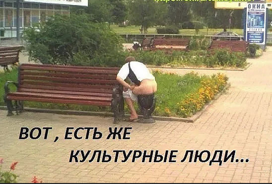 Скотсети и прочие интернеты 05.04.19