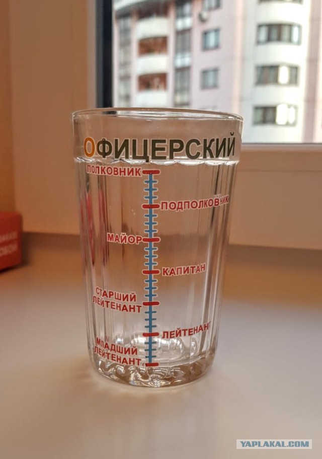 Алкоюмор к пятнице