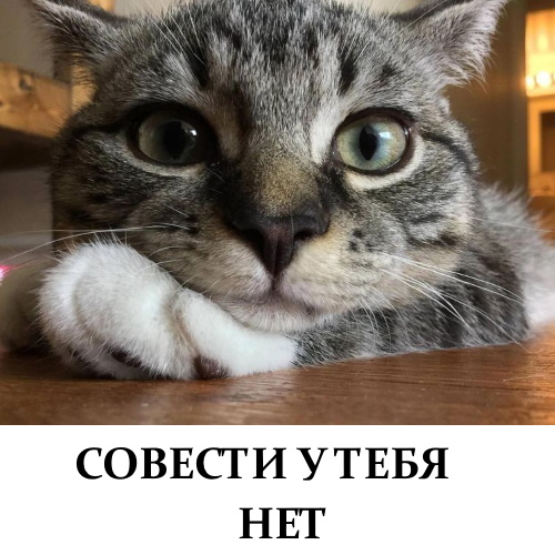 Цель опознана! Внимание - цель опознана!