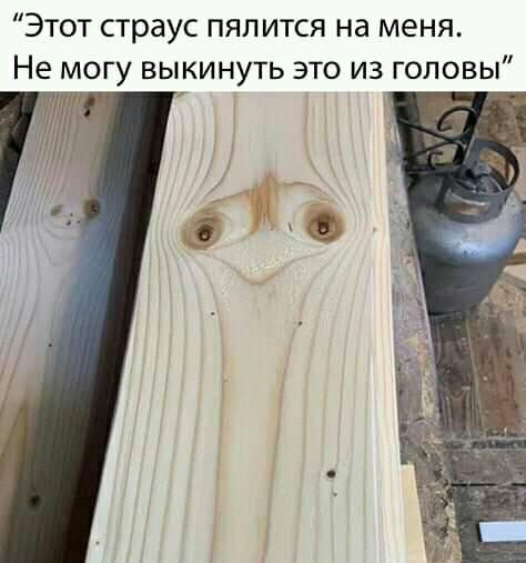 Немного картинок для настроения 30.03.20