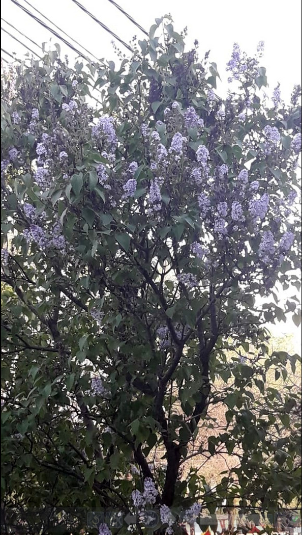 А что у вас сейчас за окном?