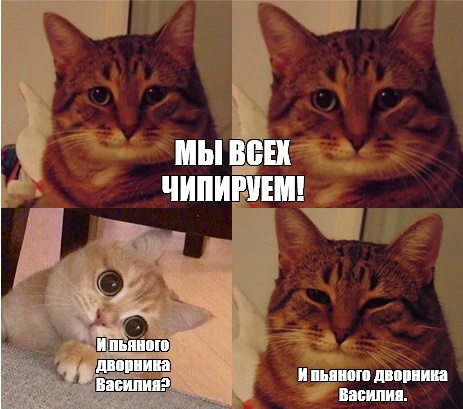 Про наночипы
