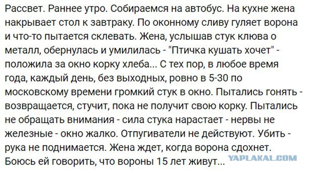 Немного картинок для настроения 18.07.20