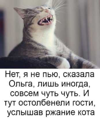 Путин не стал бы изобретать способы нечестного голосования