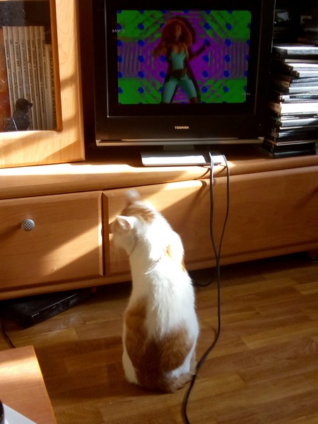 Котенок смотрит мультик