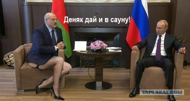 Лу и Пу: кадры со встречи Путина и Лукашенко растащили на мемы и фотожабы