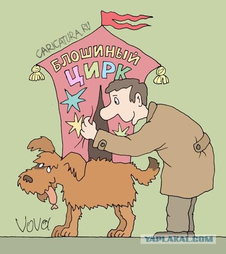 Анекдот дня