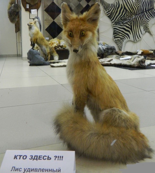 Картинки разные 08.10.2020