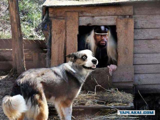 Фотожаба: Собака с Девушкой