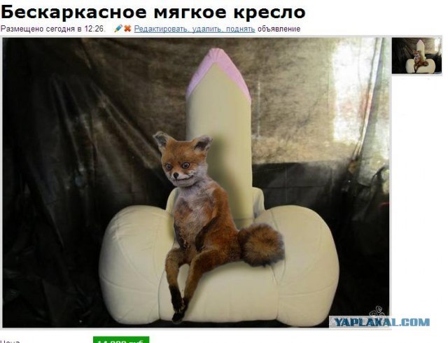 Таксидермия + наркомания
