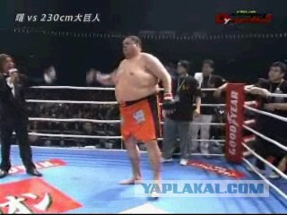Кунг фу мент