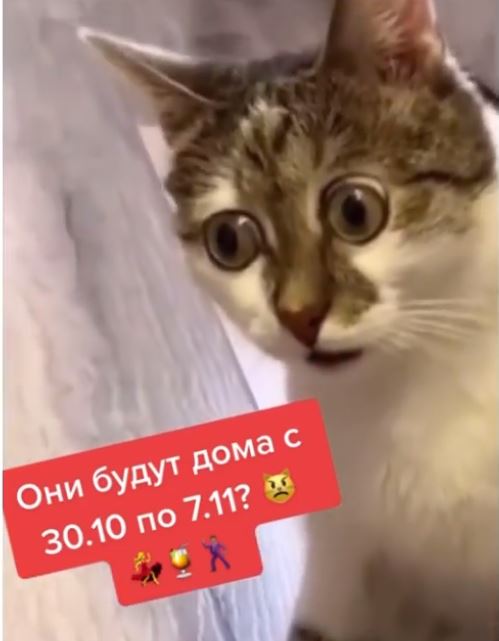 Пандемия. Коронавирус. Россия и мир. Последняя информация. Часть 25