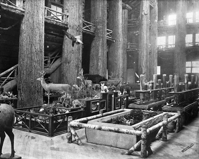 Самая большая бревенчатая хижина в мире: история здания лесного хозяйства в Портленде, штат Орегон