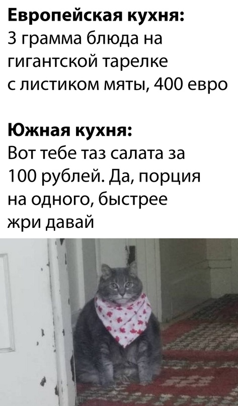 Весёлый полтишок 13.12