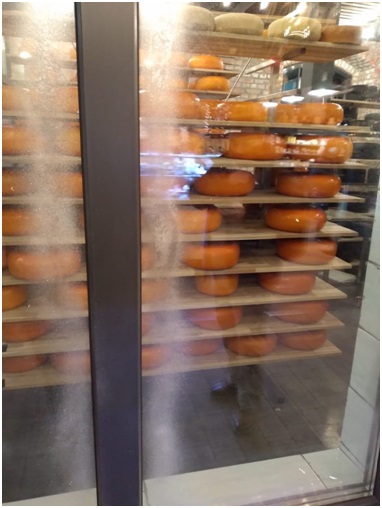 Я отдыхал в военном санатории. Вторая серия. Зеленоградск