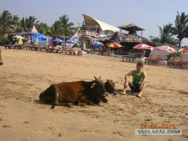 Путешествие по Индии