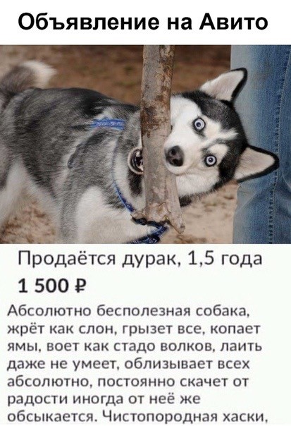 У нас пополнение в семействе