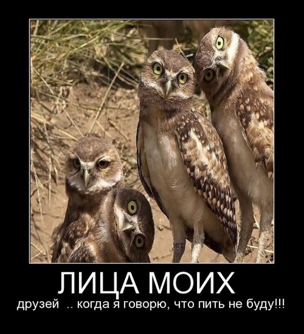 Немного картинок для настроения - 131