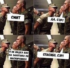 Маскировка спасла разведчика