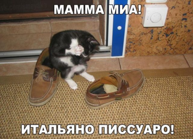 Картинки и мемы. Выходные близко...