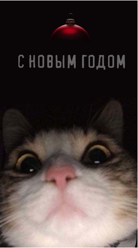 Нас наёб*вают