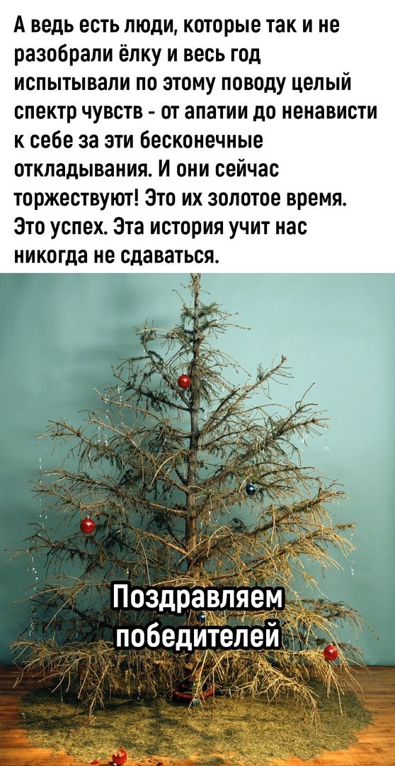 Так себе картинки 02.01.2023