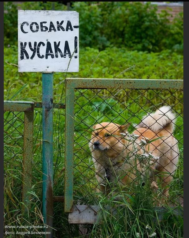 Победная поступь идиотизма по планете – том 5