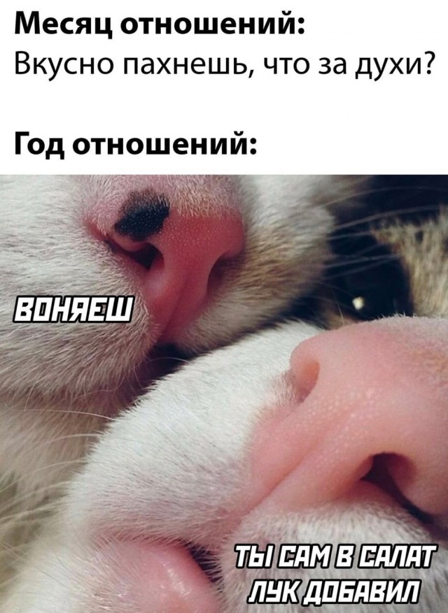 Немного картинок для настроения - 127