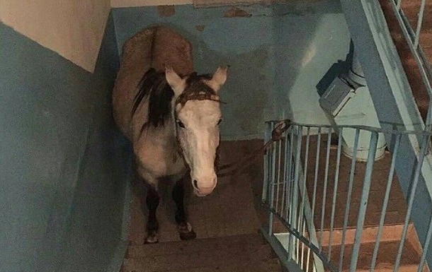 Яжемамкам с колясками можно, а я что хуже?