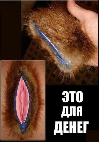 Впустив деньги в... себя