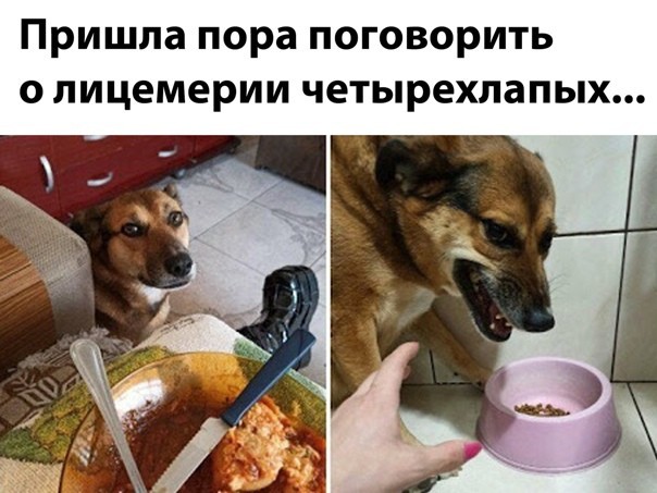 Так себе картинки 03.12.23