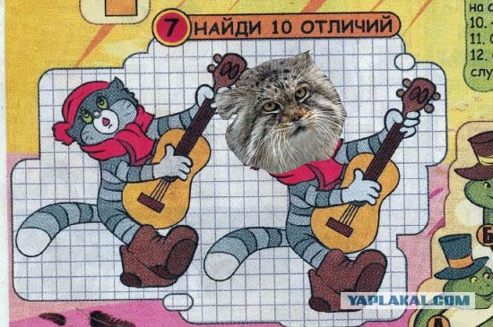 А есть ли отличия?