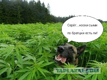 "Вагинальный лифт" - самый простой женский способ, чтобы состояться в жизни
