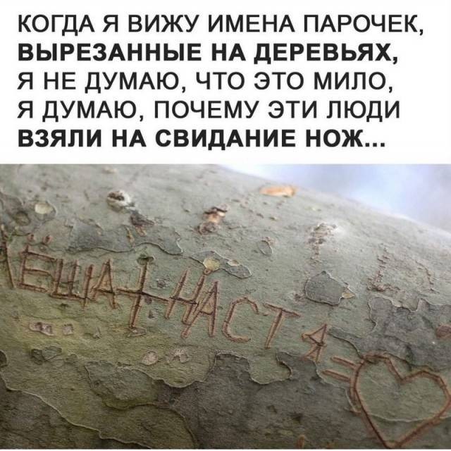 Немного забавных картинок