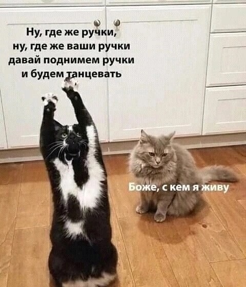 Так себе картинки 04.11.24