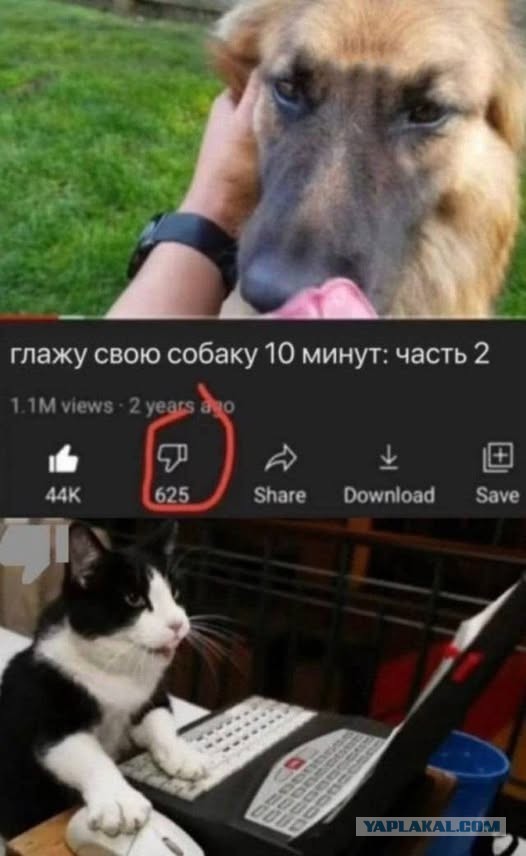 Так себе картинки 21.12.24