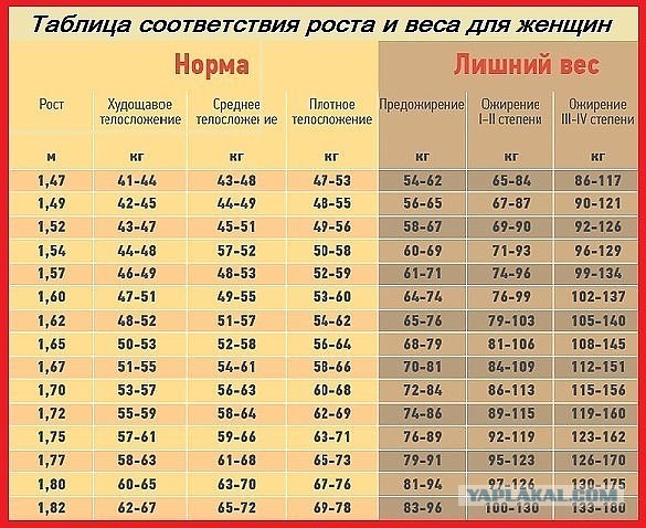 "Я не буду худеть, чтобы летать!": Бунт в небе. "Бодипозитивные" пассажирки потребовали увеличить самолёты