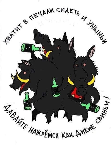 Пивная Пятничная подборка