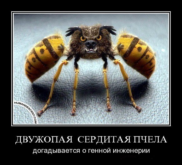 Готовимся к встрече 2026 года!))