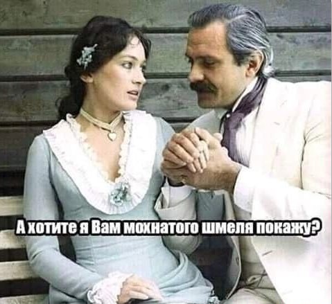 Японец подружился со шмелём и сделал его своим питомцем