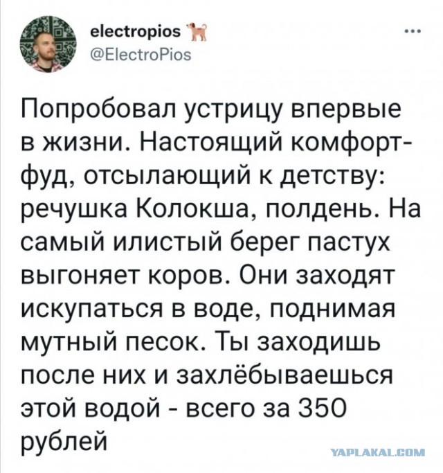 К прекрасному нужно привыкать с детства