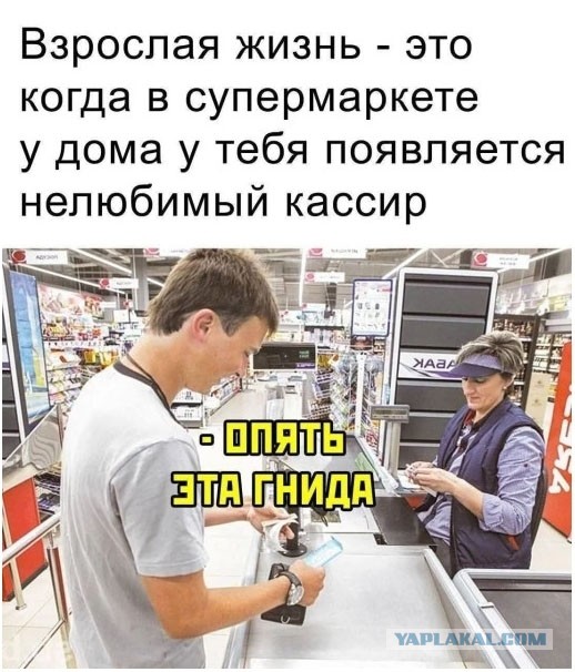 Немного картинок разной степени новизны и адекватности
