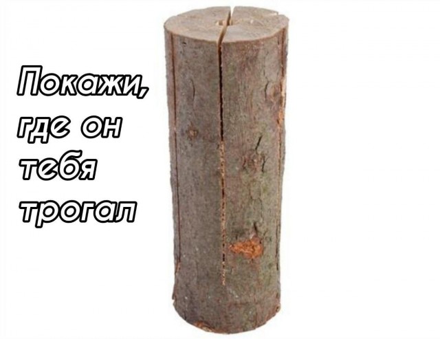 В мире животных