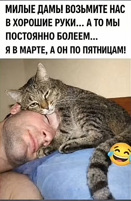 Картиночки, баянчики 24 февраля