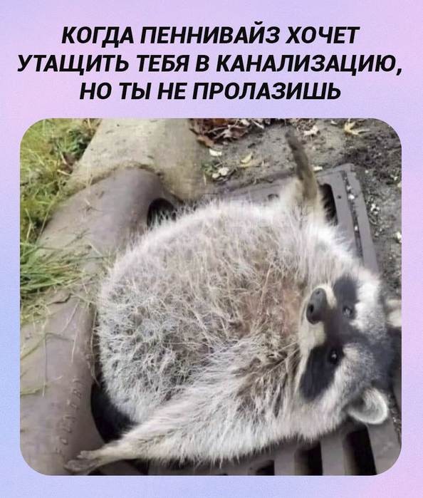 Картинки для деградации 221 (разной степени свежести)