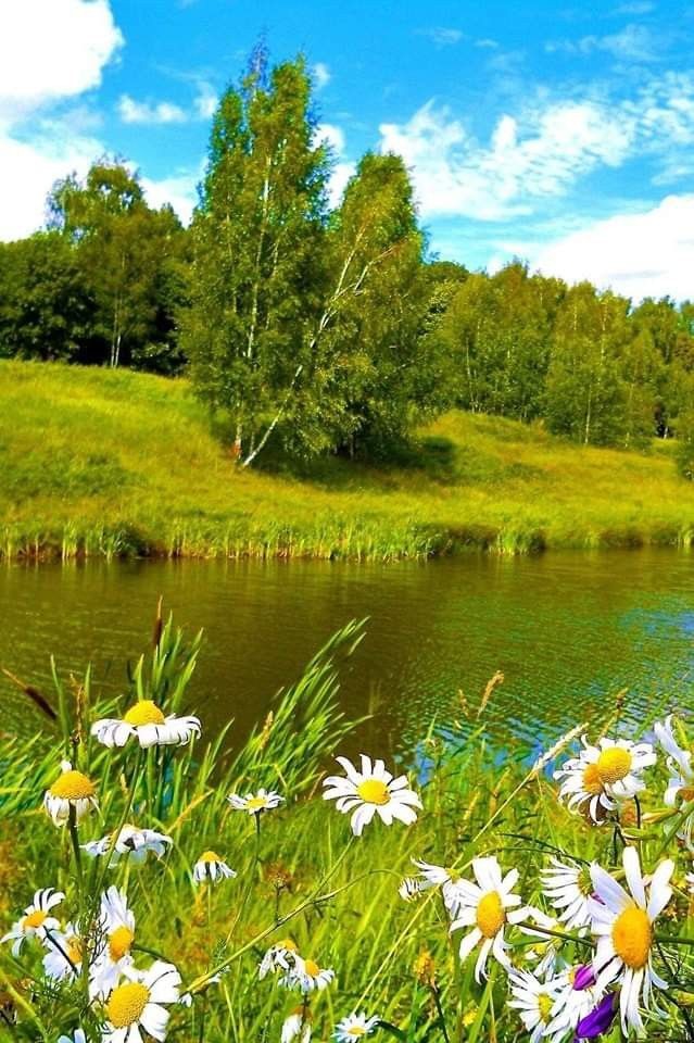 Прикольные и просто красивые картинки 24.07.2026