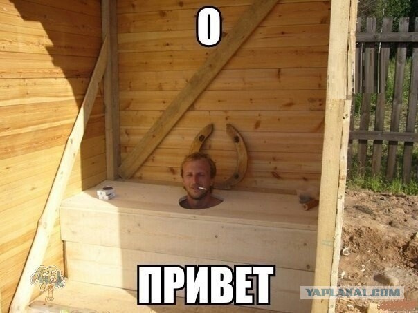 Новый виток "творчества" ТП: сидя на толчке...