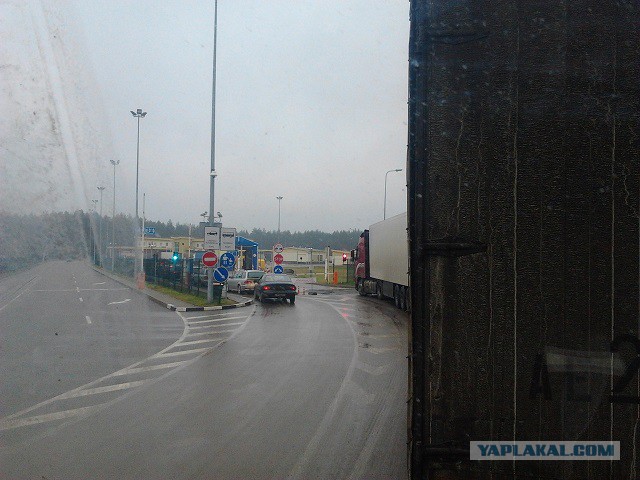 Где яблоки растут!